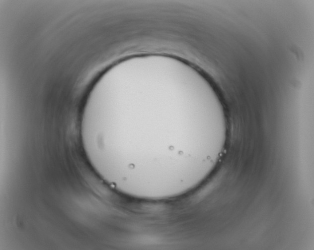 X0000114231498200910231453