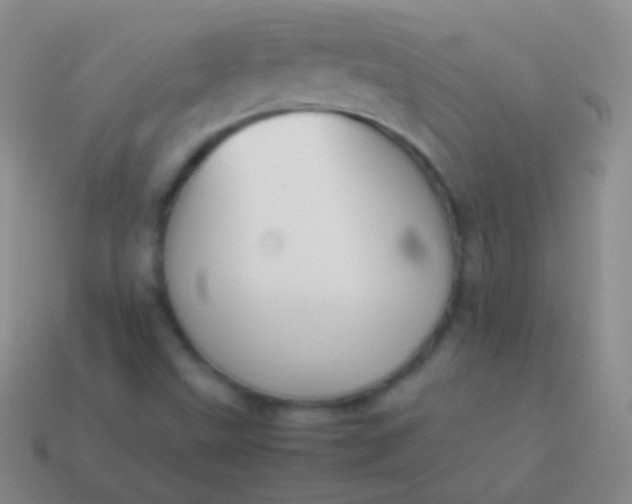 X0000114231499200910231453