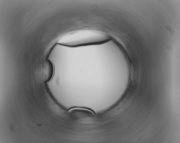 X0000114231500200910231453