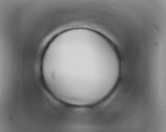 X0000114231502200910231453