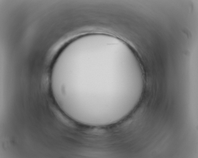 X0000114231503200910231453