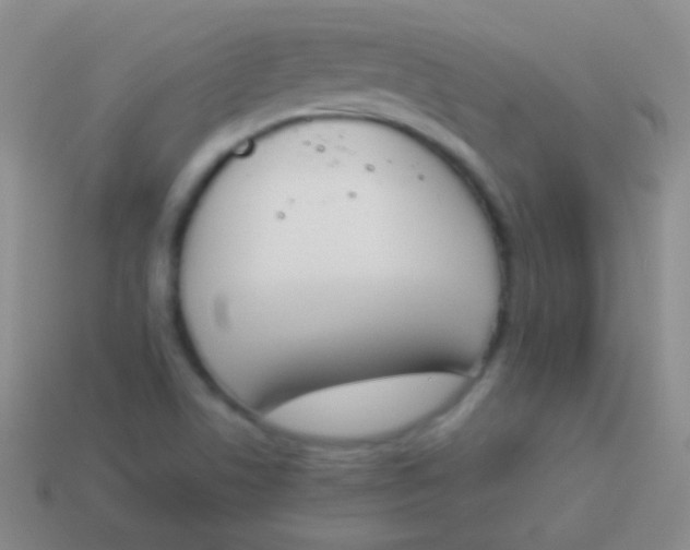 X0000114231506200910231453