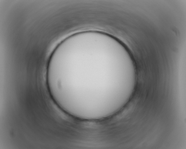 X0000114231508200910231453
