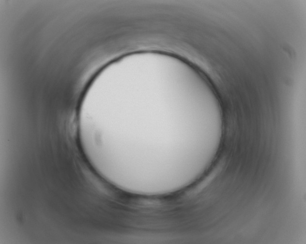 X0000114231509200910231453