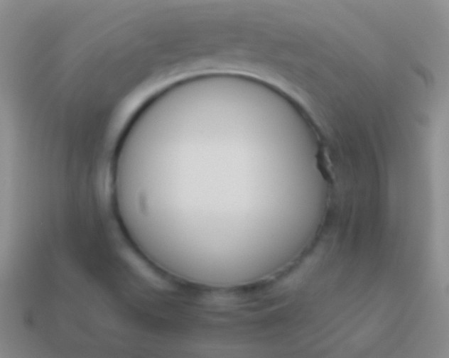 X0000114231511200910231453