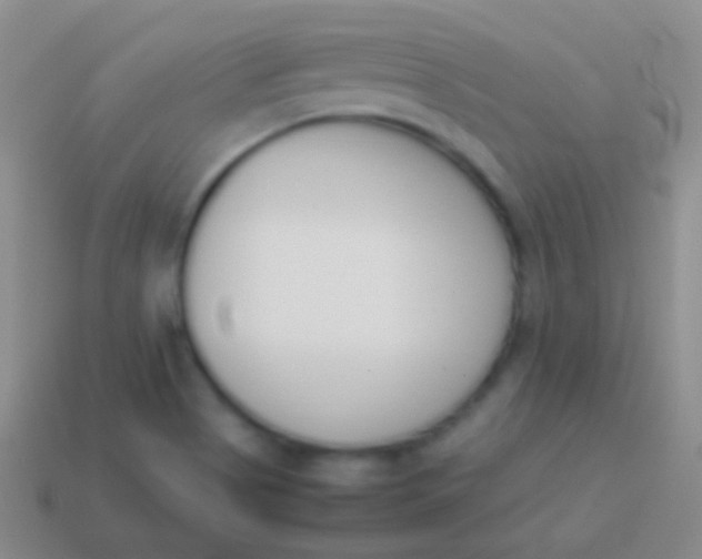 X0000114231513200910231453
