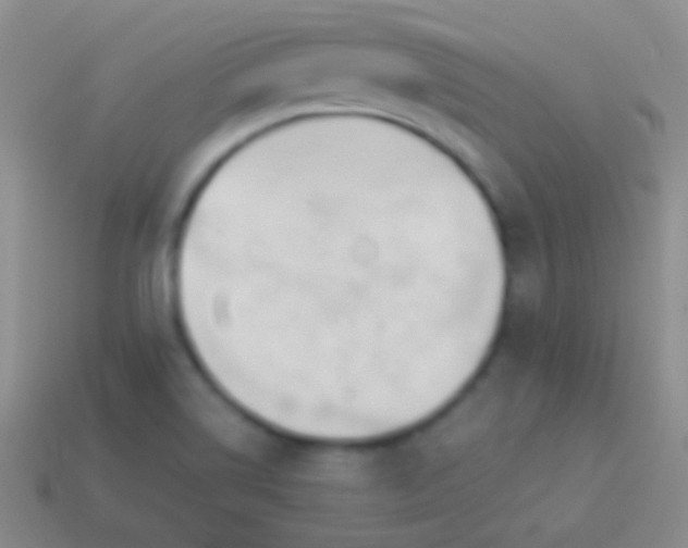 X0000114231514200910231453