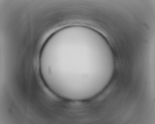 X0000114231515200910231453