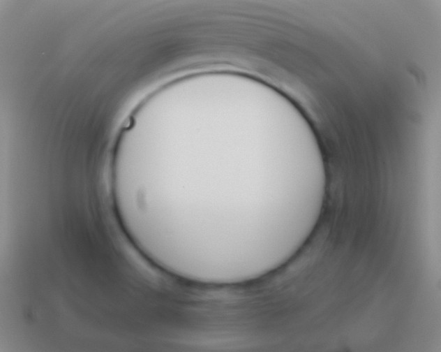 X0000114231516200910231453