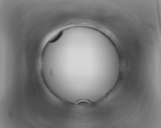 X0000114231520200910231453