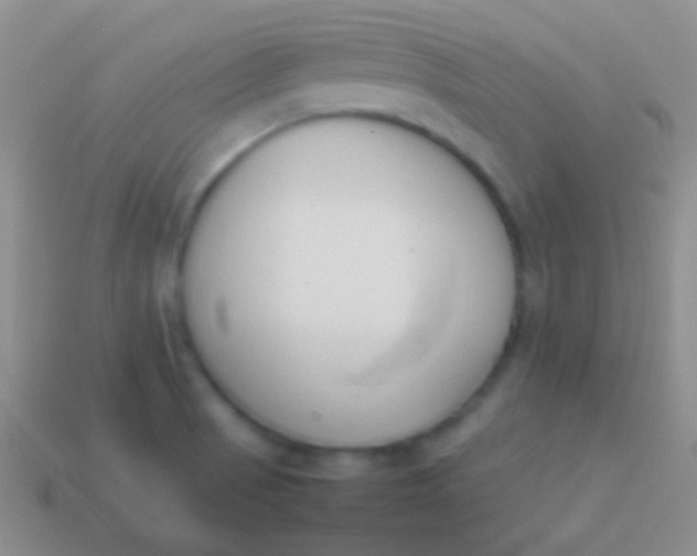 X0000114231521200910231453