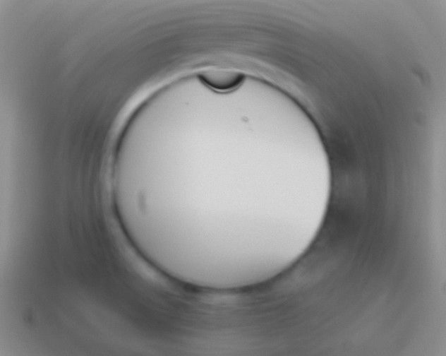 X0000114231522200910231453