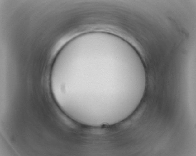 X0000114231525200910231453