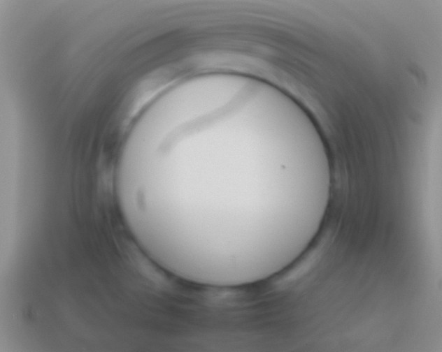 X0000114231529200910231453