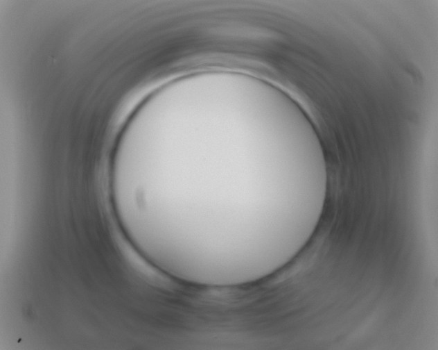 X0000114231531200910231453