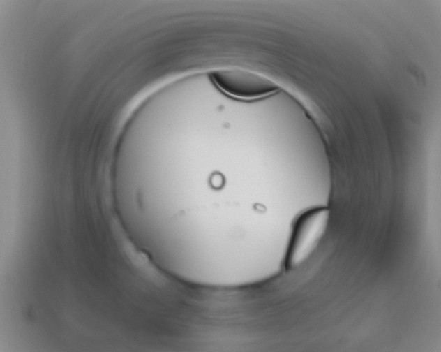 X0000114231534200910231453