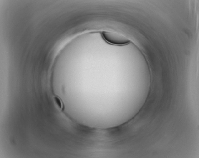 X0000114231536200910231453