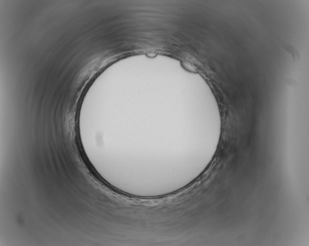 X0000114230002200911061537