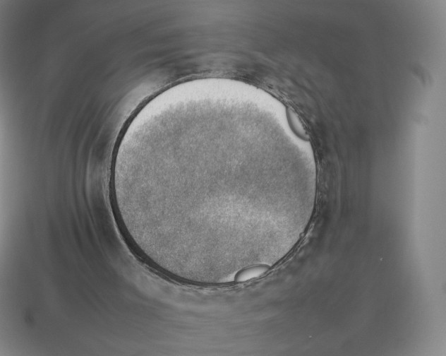 X0000114230003200911061537
