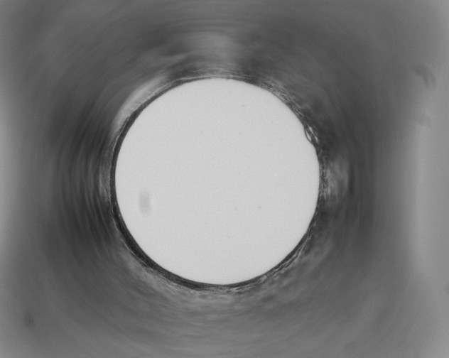X0000114230004200911061537