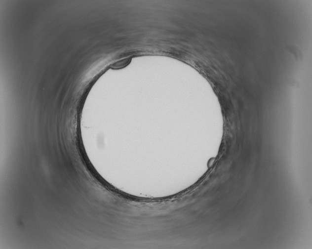 X0000114230005200911061537