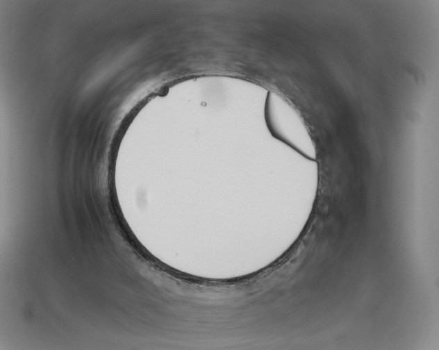 X0000114230008200911061537