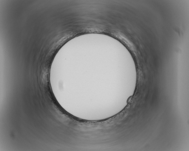 X0000114230009200911061537