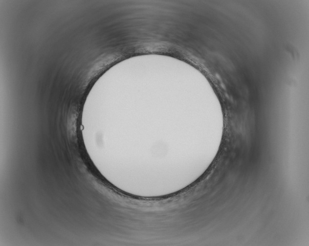 X0000114230010200911061537