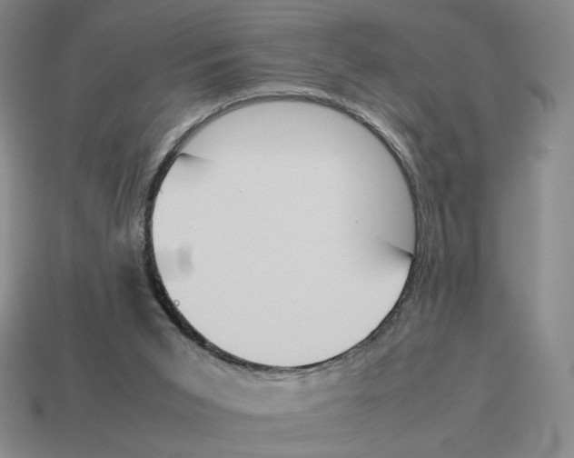 X0000114230015200911061537