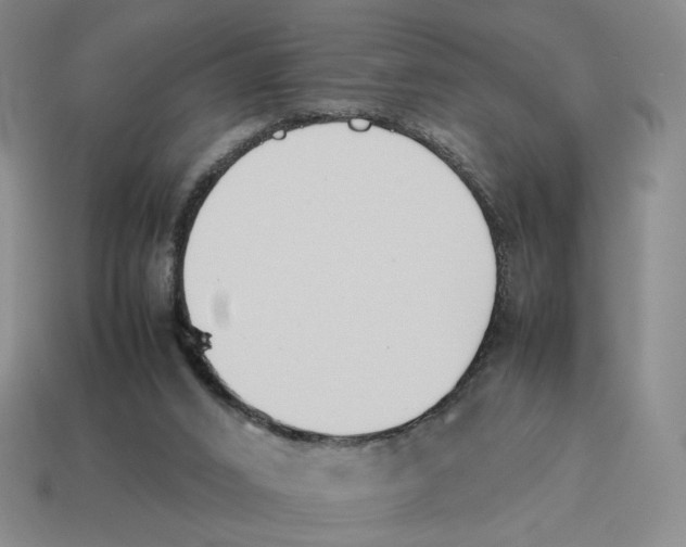 X0000114230016200911061537
