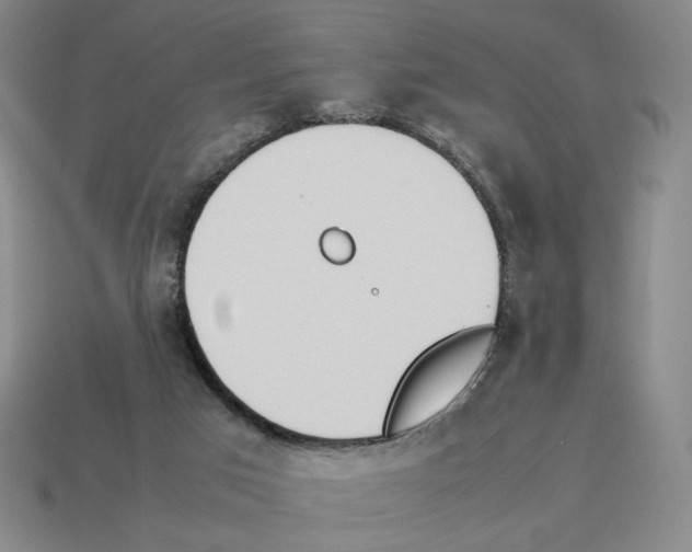 X0000114230017200911061537