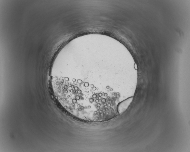 X0000114230019200911061537