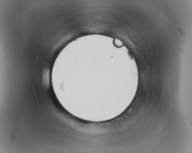 X0000114230020200911061537