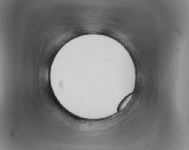 X0000114230021200911061537