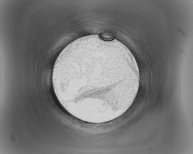 X0000114230023200911061537