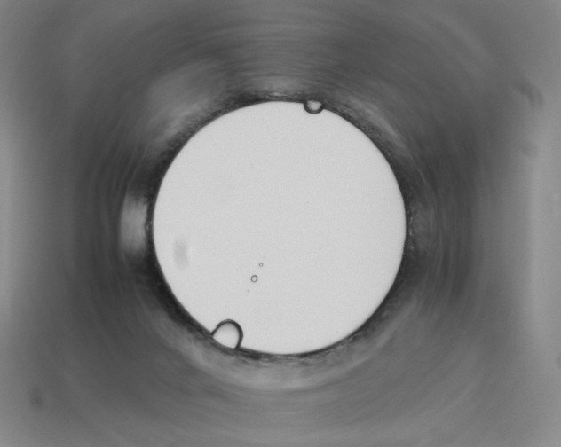 X0000114230024200911061537