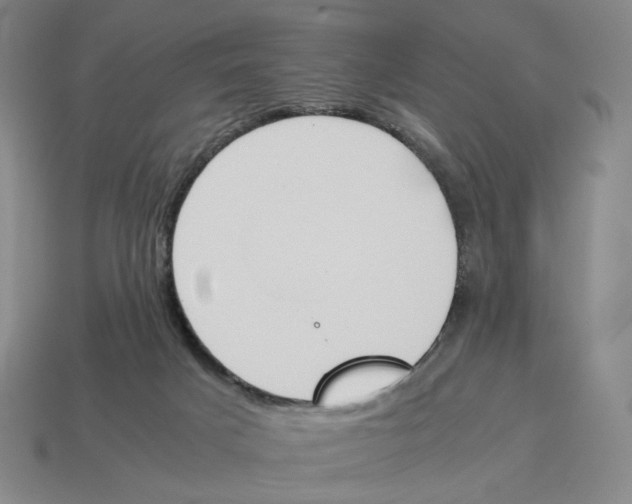 X0000114230025200911061537