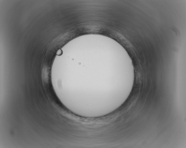 X0000114230026200911061537