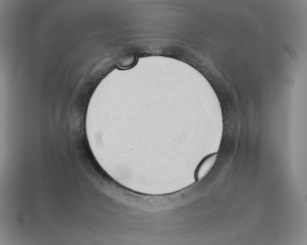 X0000114230031200911061537