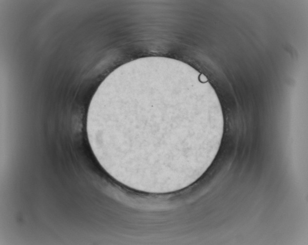 X0000114230032200911061536