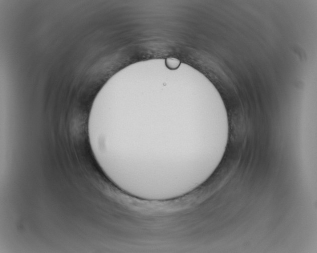 X0000114230034200911061536
