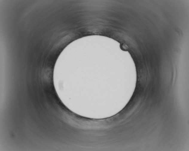 X0000114230036200911061536