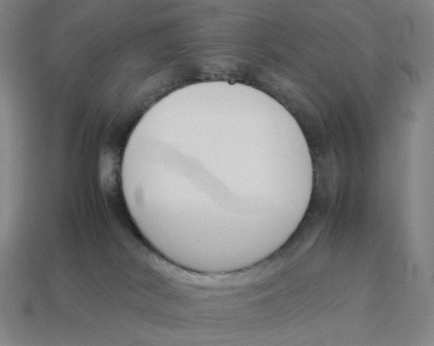 X0000114230038200911061536