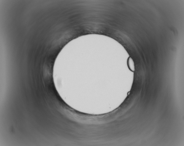 X0000114230040200911061536