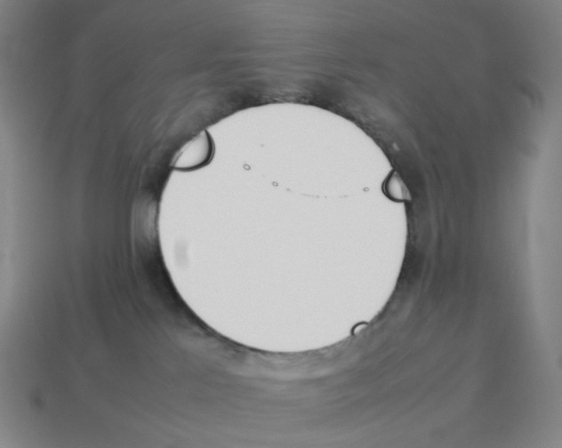 X0000114230041200911061536