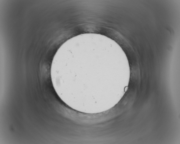X0000114230043200911061536