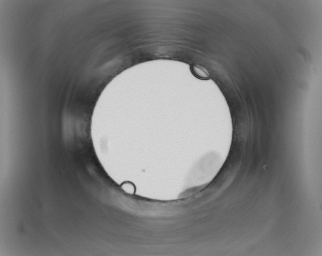 X0000114230044200911061536