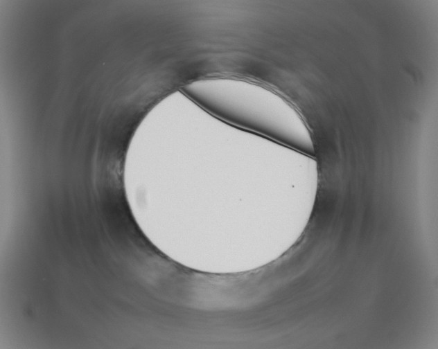 X0000114230045200911061536