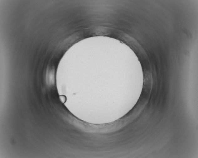 X0000114230046200911061536