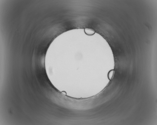 X0000114230047200911061536